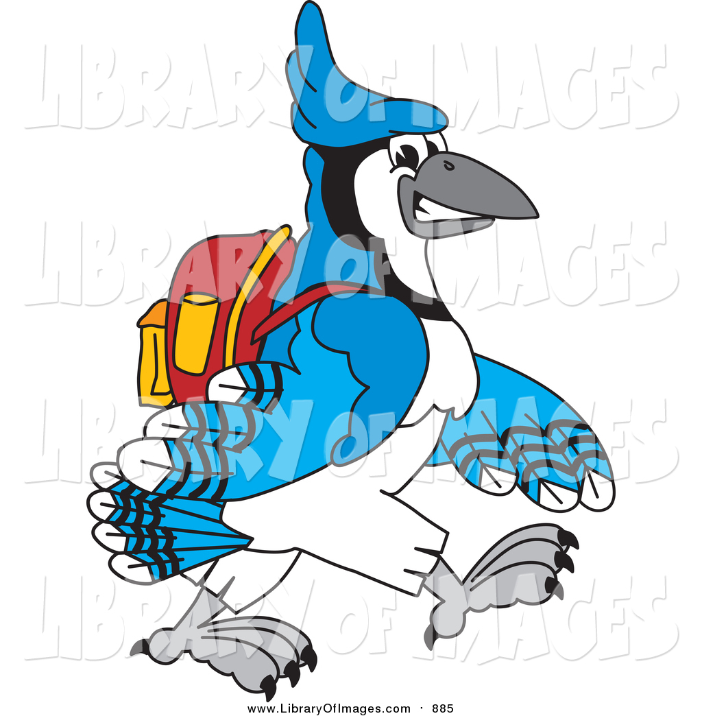 1024x1044 Clip Art Of A Blue Jay School Mascot Walking To School By