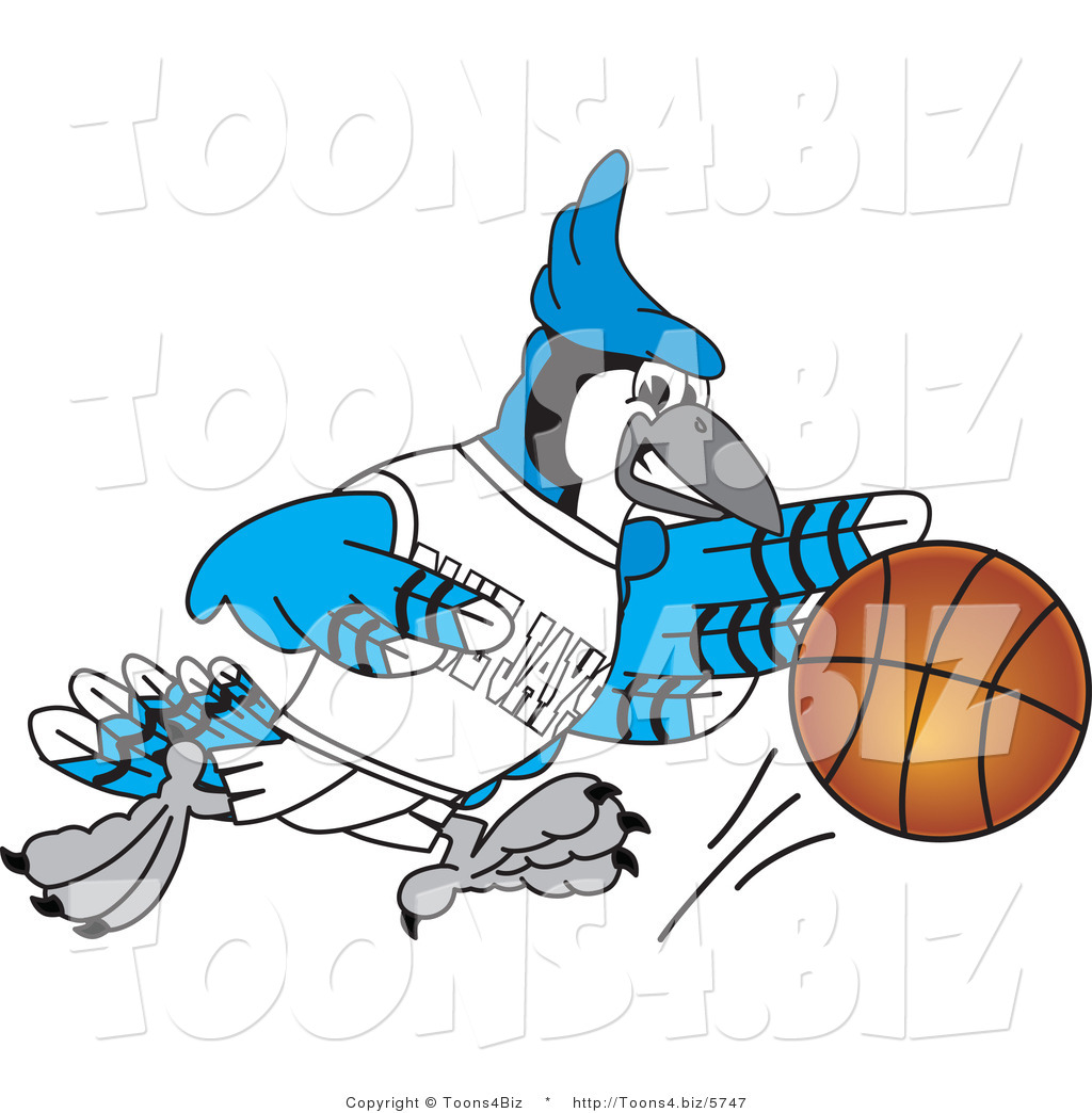 1024x1044 Vector Illustration Of A Cartoon Blue Jay Mascot Playing
