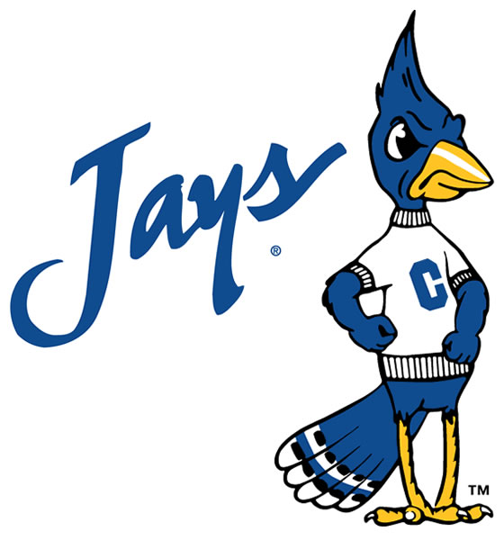 560x600 Blue Jay Clipart Angry