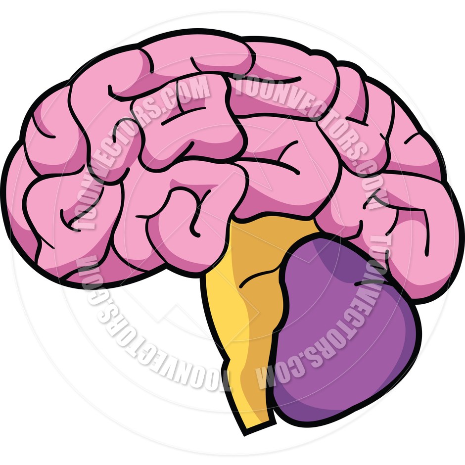 940x940 Human Brain Images Clip Art