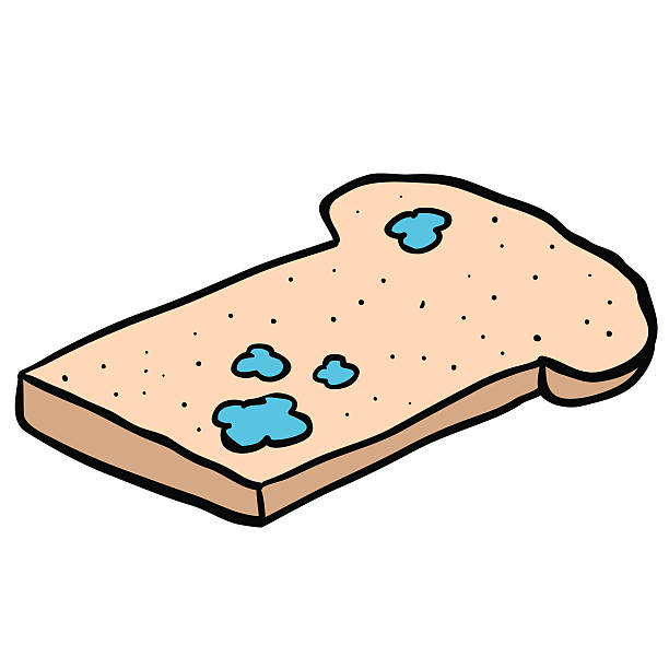 612x612 Bread Clipart Moldy Bread