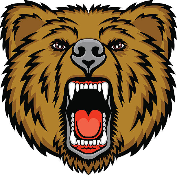 612x605 Brown Bear Clipart Mean