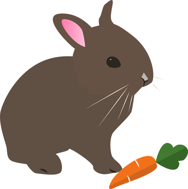 Cartoon Bunnies Pictures | Free download on ClipArtMag