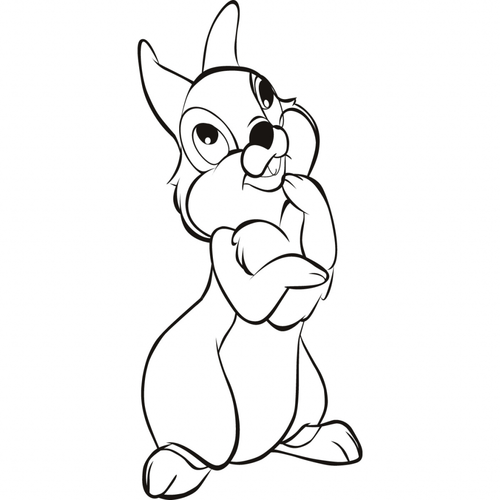 1024x1024 Bunny Cartoon Drawing Pictures Of Cartoon Bunnies Free Download