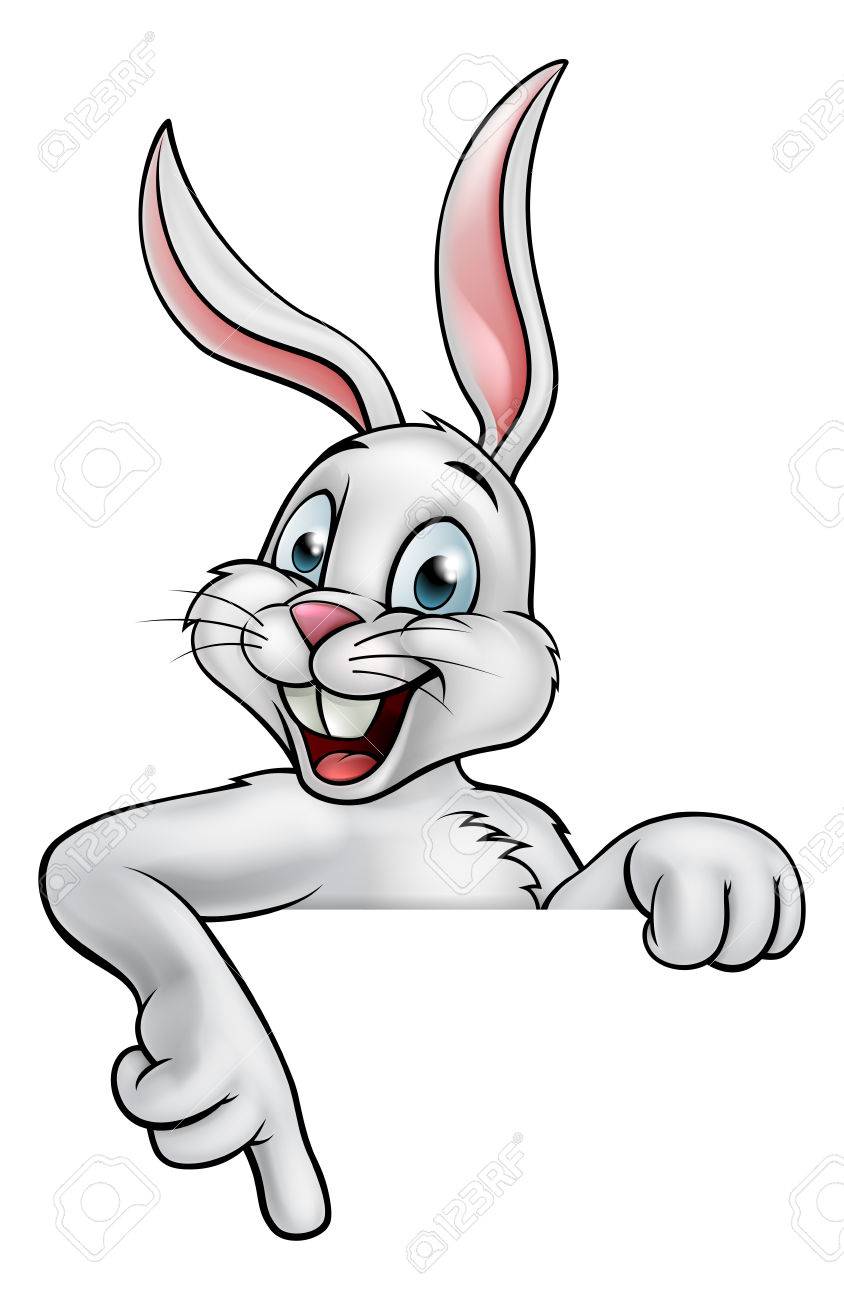 Cartoon Bunny Images