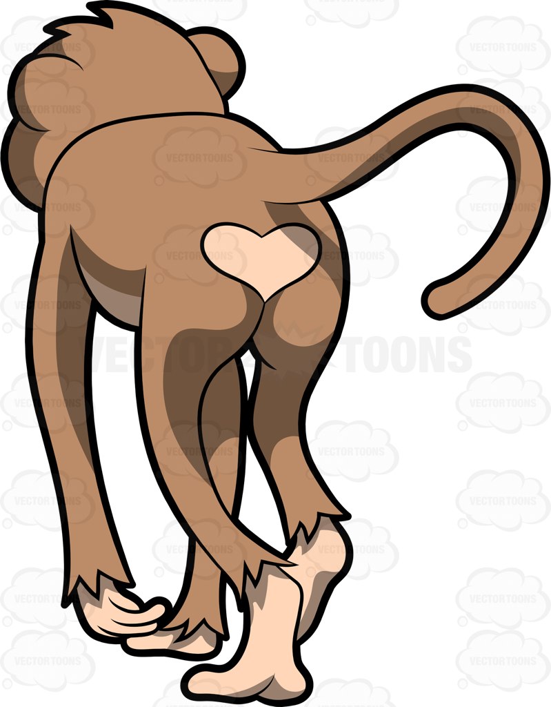 799x1024 A Cute Monkey With A Heart Shaped Behind Vector Clipart, Monkey
