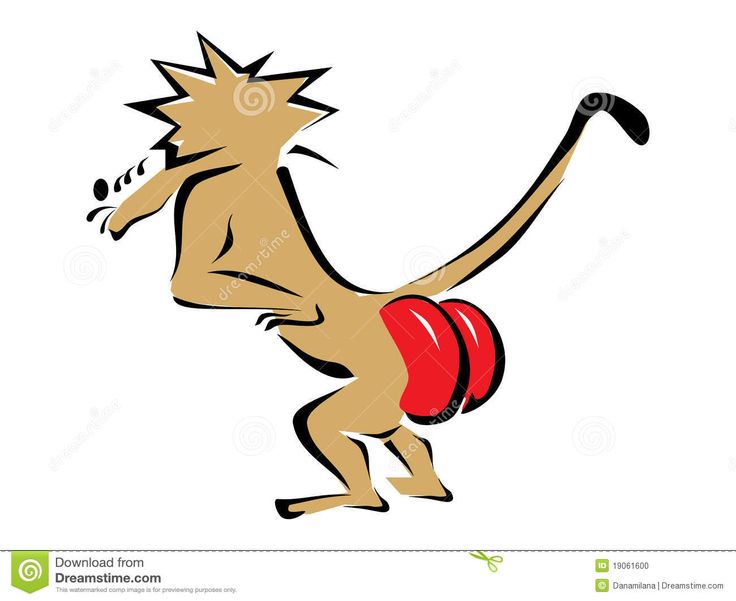 736x601 Image Result For Red Baboon Butt N4th4n Ss17