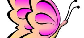 272x125 Cartoon Butterfly Free Vector Art