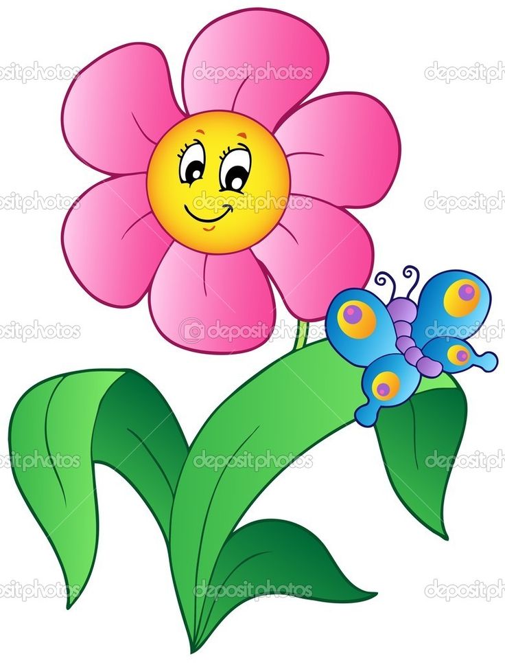 Cartoon Butterfly Images