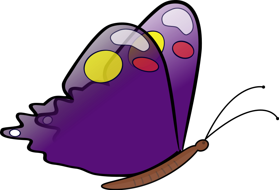 900x615 Pictures Of Butterfly