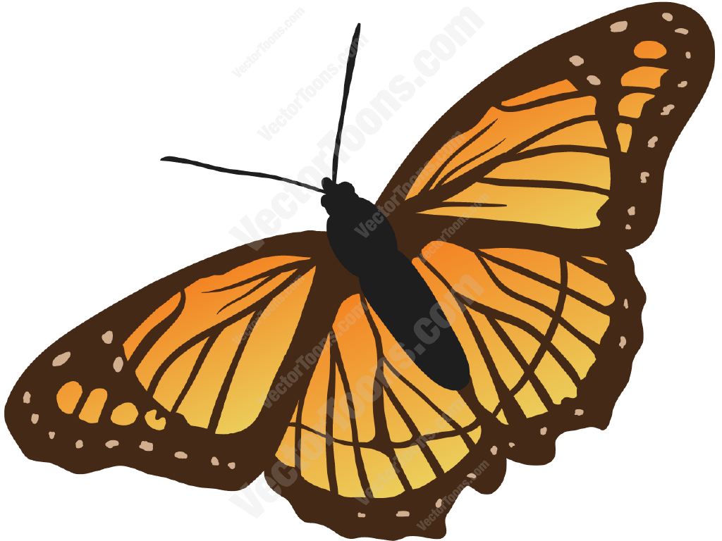 1024x768 Top View Of An Orange And Black Butterfly Cartoon Clipart