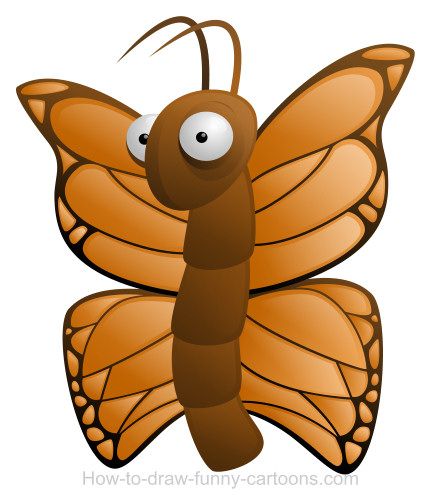 Cartoon Butterfly Pictures
