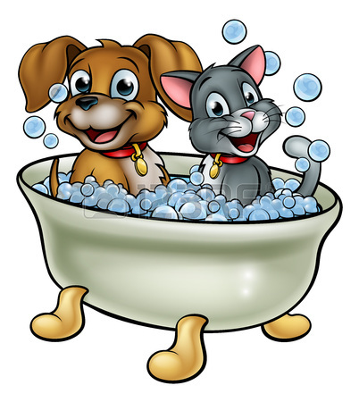 Cartoon Cat And Dog Clipart