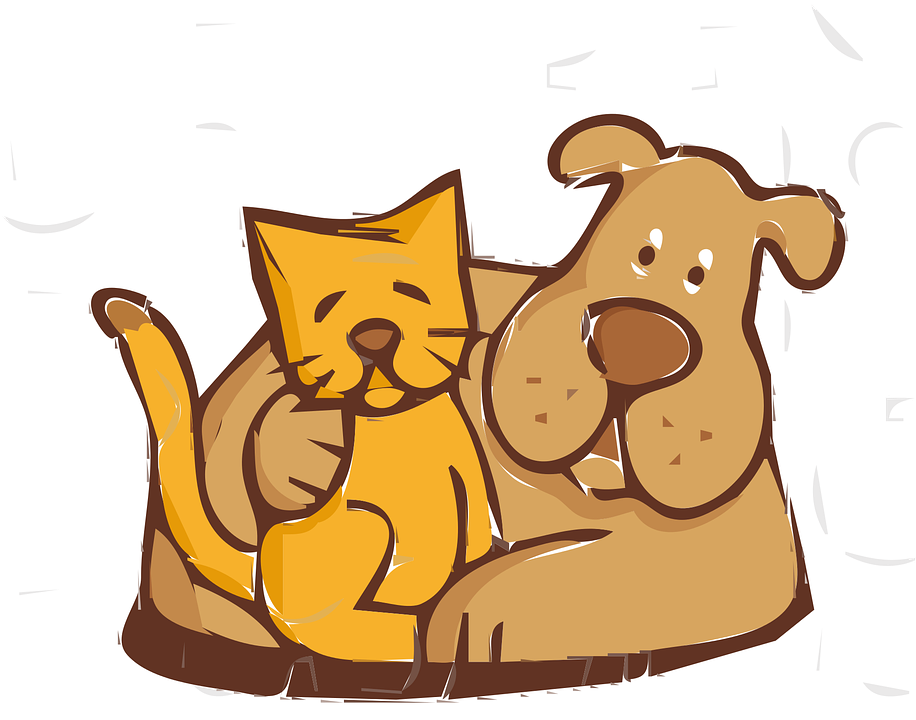 916x720 Kittens Clipart Cat And Dog