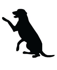 236x288 Vet Silhouette Of Black Dog And White Cat Isolated On White
