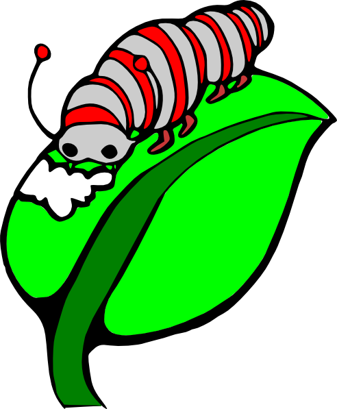 492x597 Catterpillar Colored Clip Art