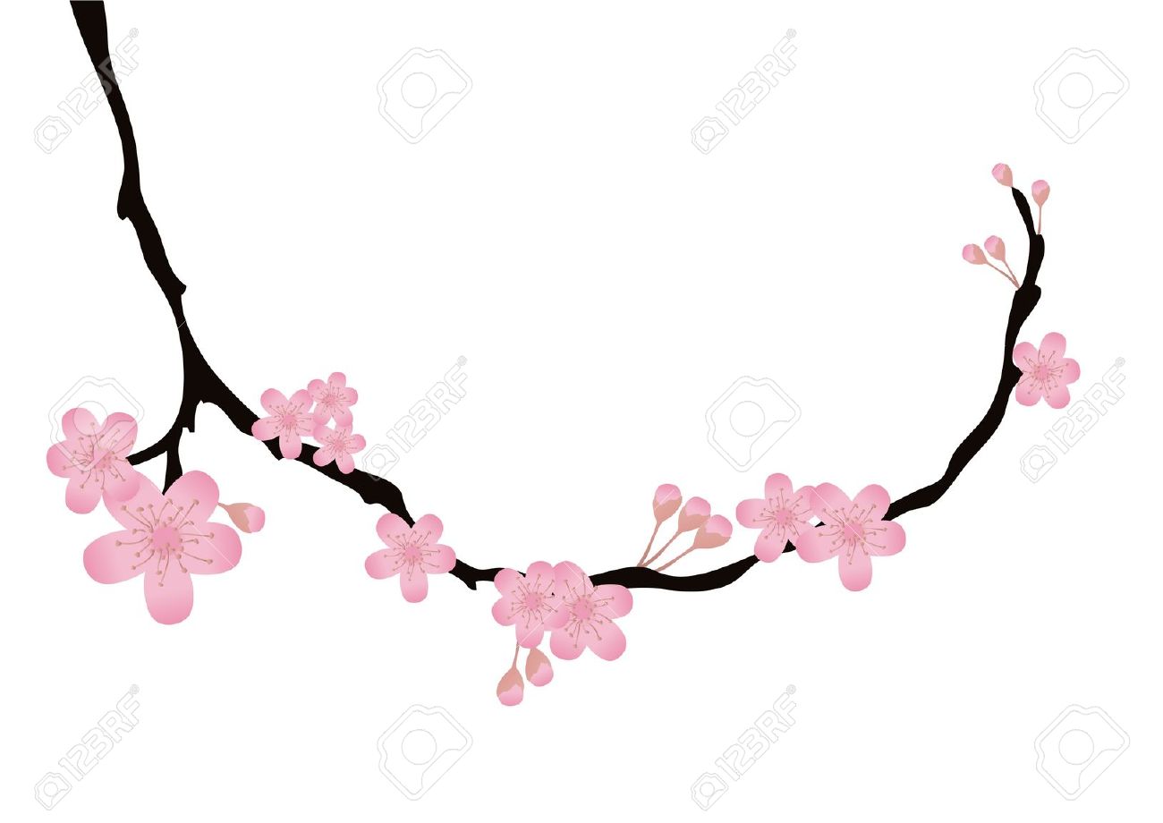 1300x920 Sakura Clipart Tree Branch