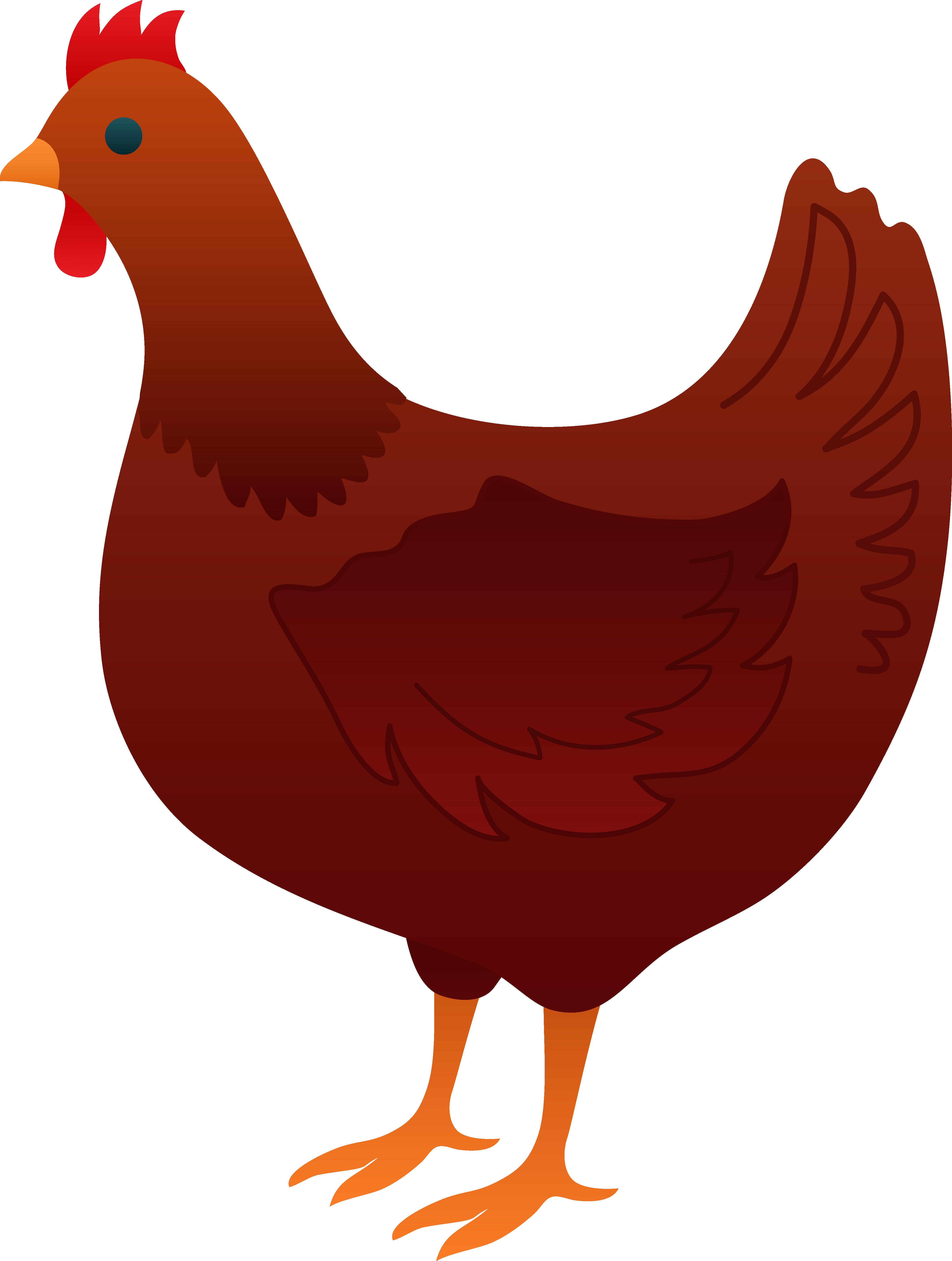 4319x5717 Cute Red Hen