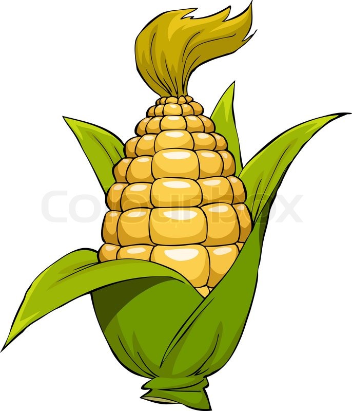 686x800 Cartoon Corn Stock Photo Colourbox