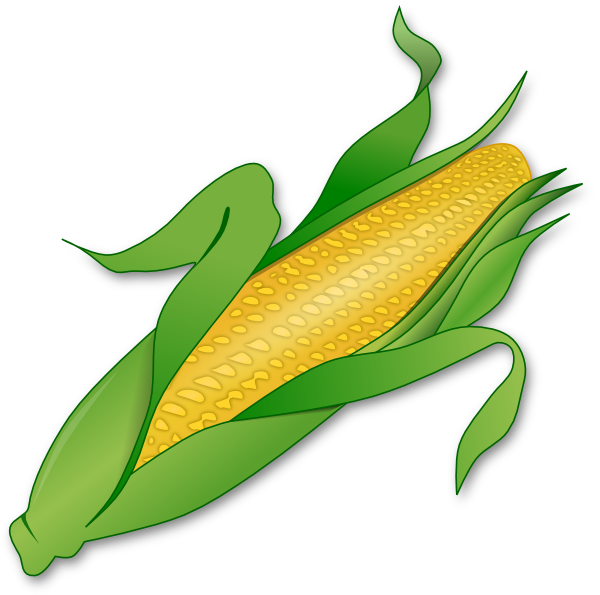 600x595 Corn Clip Art