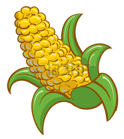 402x450 Bright Corn On The Cobb Cartoon Royalty Free Cliparts, Vectors
