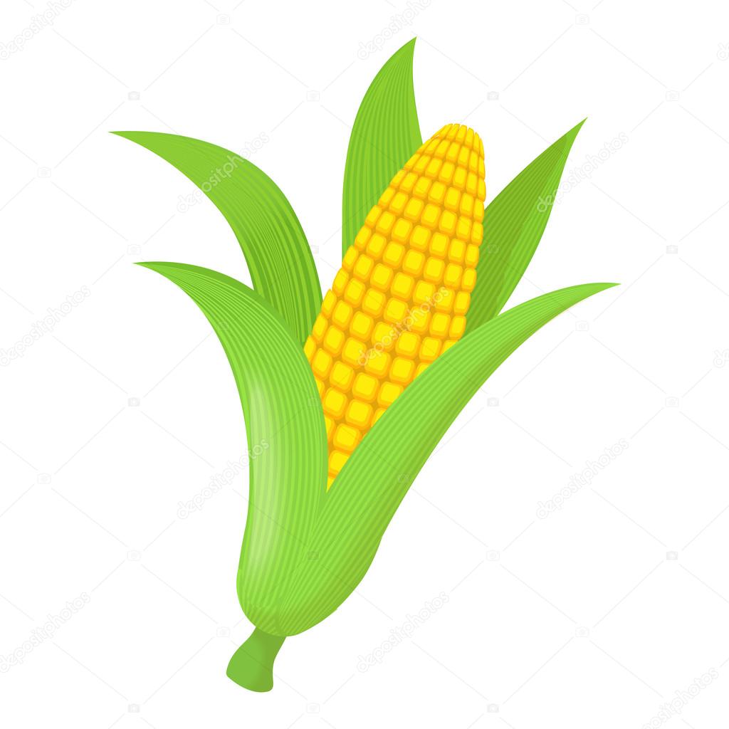 1024x1024 Corn Icon, Cartoon Style Stock Vector Ylivdesign
