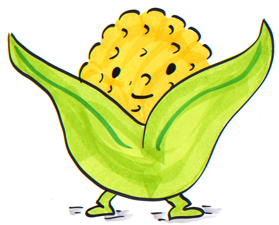 900x727 Drawn Corn Corn Husk