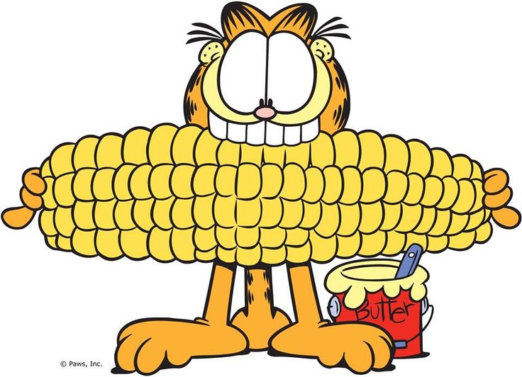 736x532 Pin By We Got Character On More Garfield Pictures