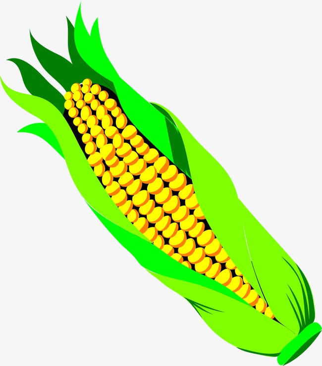 650x739 Cartoon Corn, Cartoon, Corn, Yellow Png Image For Free Download