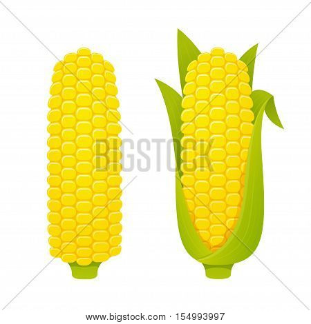 450x470 Cartoon Corn Cob Images, Illustrations, Vectors