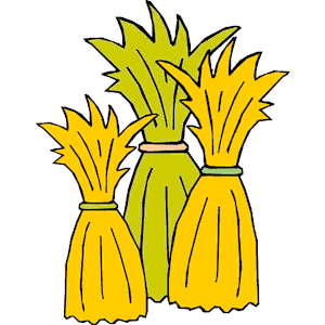 300x300 Corn Stalks And Pumpkin Clipart