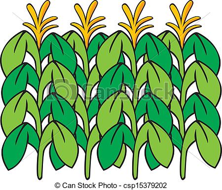 450x384 Stalk Clipart