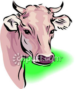 258x300 Cow Clipart Realistic
