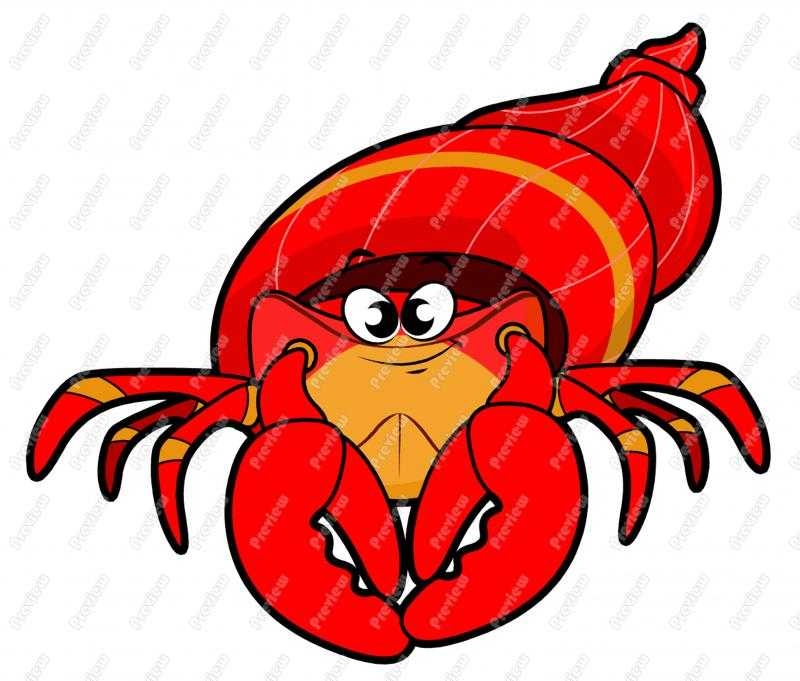 800x681 How To Draw A Hermit Crab On Hermit Crab Cartoon