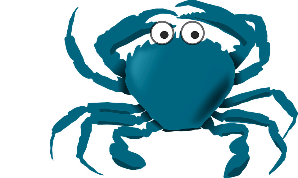 960x576 Free Photo Crab Cartoon Stuff Sea Blue