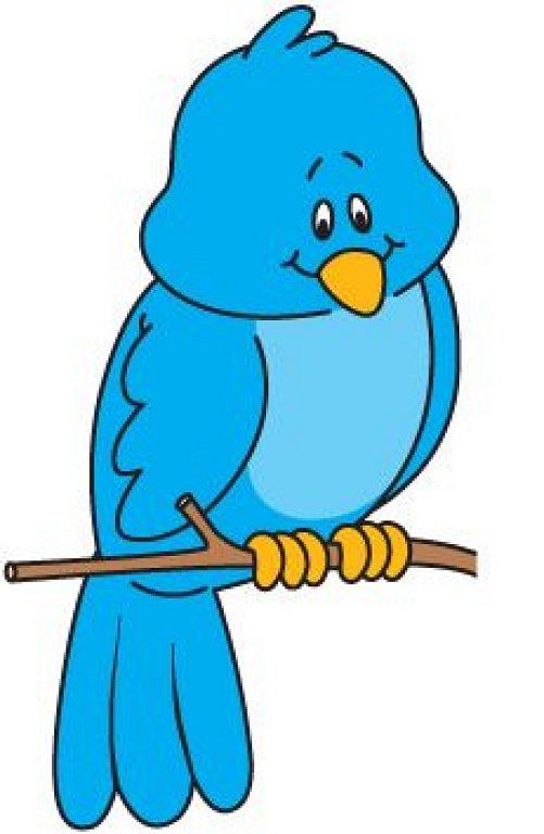 501x768 Bluebird Clipart Bird Face