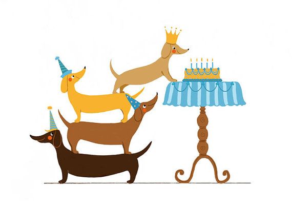 570x406 Dachshund Clipart Birthday