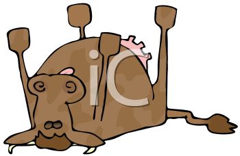 350x228 Dead Cow Cartoon