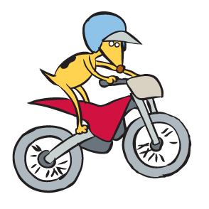 294x294 Chilly White Is A Dog