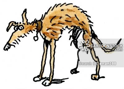 400x288 Pet Clipart Stray Dog