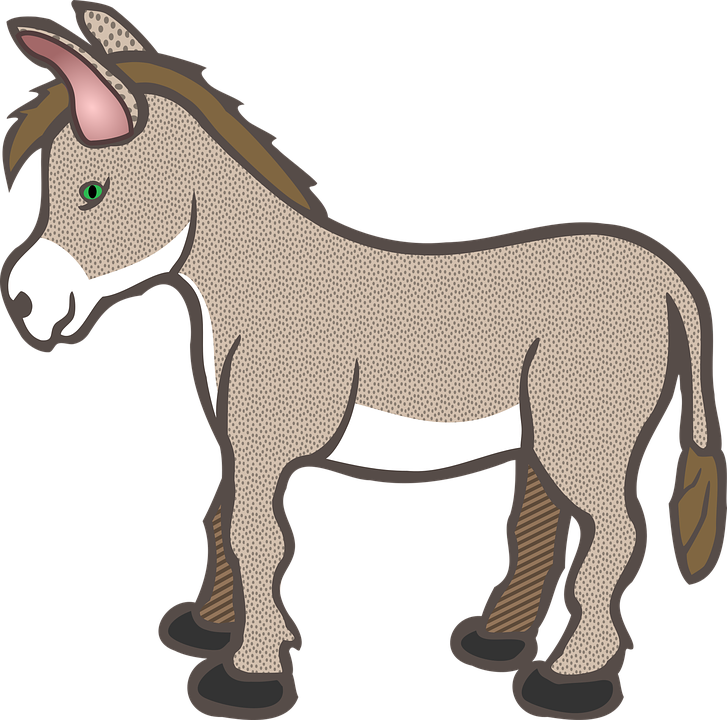 727x720 Free Photo Donkey Animals Farm Cute