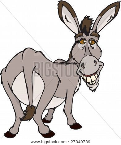 Cartoon Donkey Images | Free download on ClipArtMag