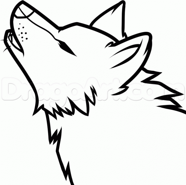 750x743 Drawing Animal Jam Arctic Wolf Drawing Easy In Conjunction