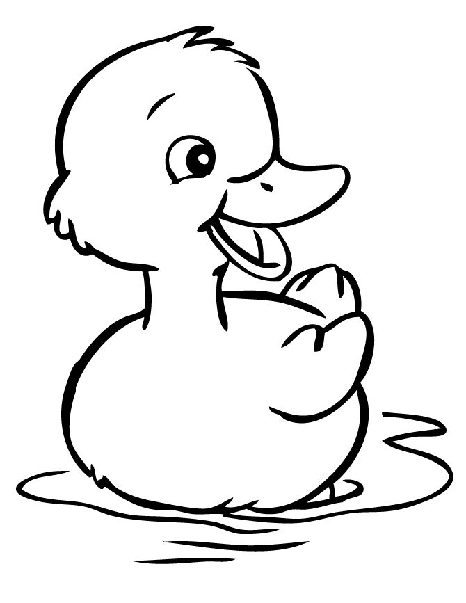 670x867 Drawn Duckling Color