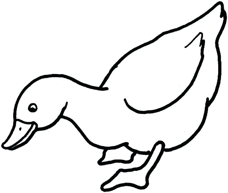 921x778 Superb Inspiring Rubber Ducky Coloring Pages Kids Duck Images