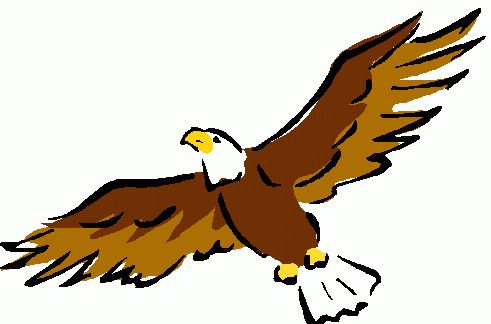 491x324 Animated Eagle Clipart