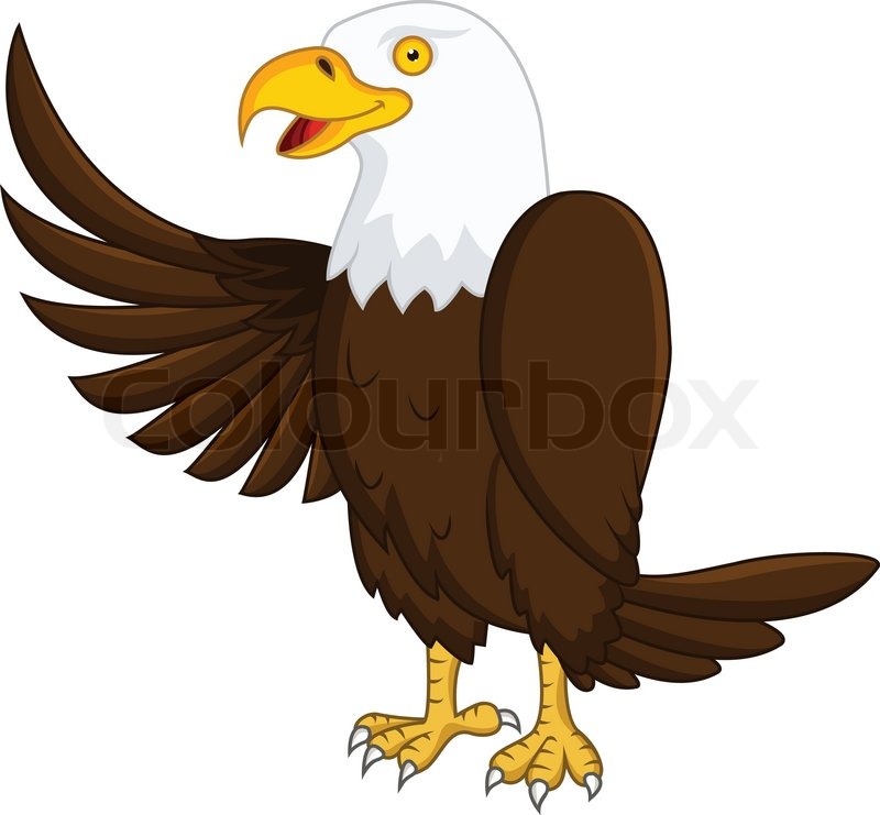 800x741 Eagle Cartoon Stock Vector Colourbox