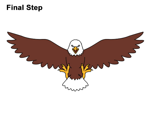 500x386 How To Draw A Bald Eagle (Cartoon)