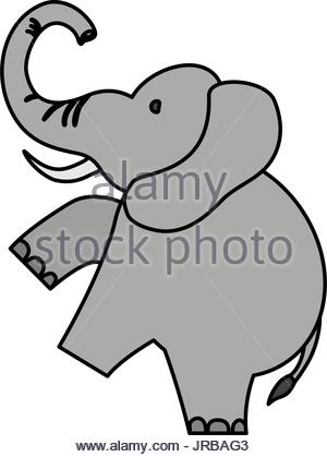 300x419 Cartoon Cute Baby Elephant Isolated On White Background Stock