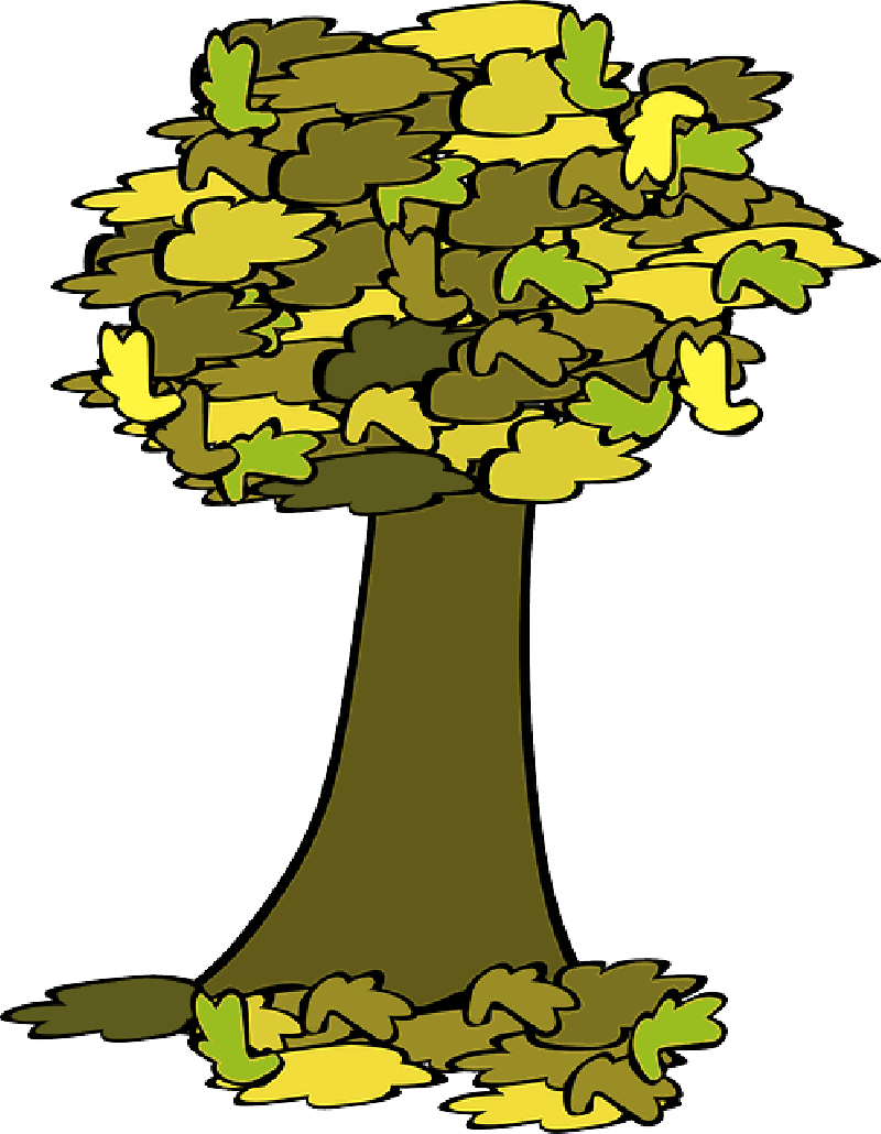 800x1030 Fall, Tree, Coloured, Acorn, Cartoon, Trees, Plant